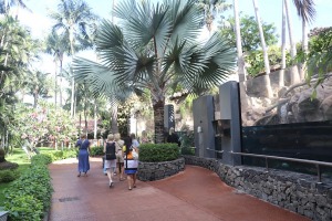 Tenerifes zooloģiskais dārzs «Loro Parque» tiek uzskatīts par labāko pasaulē. Sadarbībā ar Tez Tour un airBaltic 13