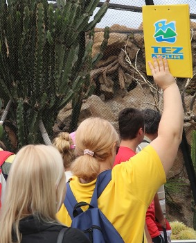 Tenerifes zooloģiskais dārzs «Loro Parque» tiek uzskatīts par labāko pasaulē. Sadarbībā ar Tez Tour un airBaltic 15