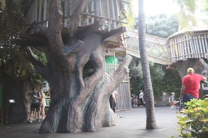Tenerifes zooloģiskais dārzs «Loro Parque» tiek uzskatīts par labāko pasaulē. Sadarbībā ar Tez Tour un airBaltic 17