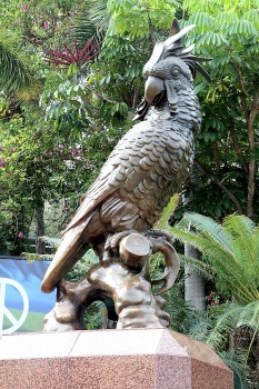 Tenerifes zooloģiskais dārzs «Loro Parque» tiek uzskatīts par labāko pasaulē. Sadarbībā ar Tez Tour un airBaltic 6