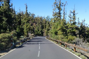 Ceļš uz Teidas vulkānu ir iecienīts gan motociklistu, gan velosipēdistu, gan šoferu vidū.  Sadarbībā ar Tez Tour un airBaltic 13