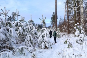 Travelnews.lv izbauda 24 km pārgājienu Jelgavas novadā sala un vēja apstākļos 10