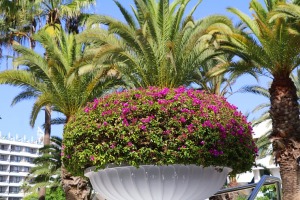 Travelnews.lv ekskursijas veidā iepazīst Tenerifes viesnīcu «Spring Hotel Vulcano & up». Sadarbībā ar Tez Tour un airBaltic 5