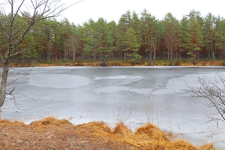 Travelnews.lv iziet 24 km pārgājienu Piejūras dabas parkā gar Gauju, Garezeru, Lilasti un Dzirnezeru Travelnews.lv iziet 24 km pārgājienu Piejūras dabas parkā gar Gauju, Garezeru, Lilasti un Dzirnezeru 333059
