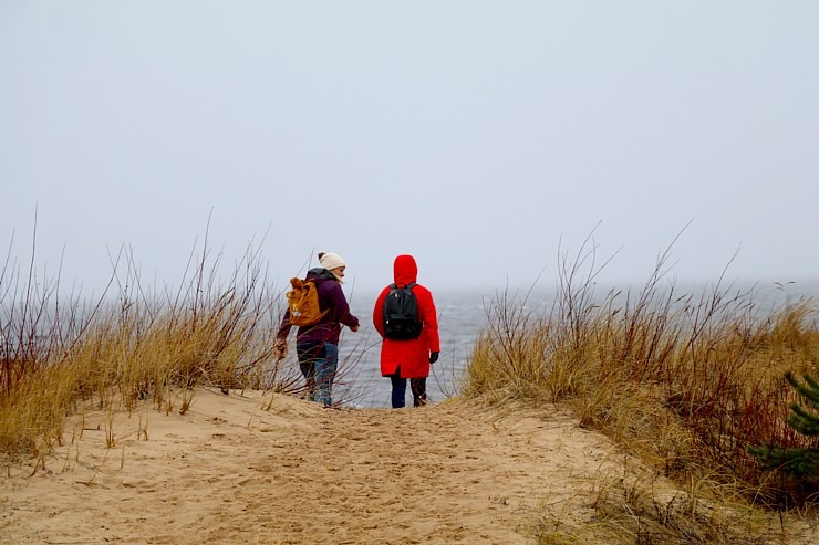 Travelnews.lv iziet 24 km pārgājienu Piejūras dabas parkā gar Gauju, Garezeru, Lilasti un Dzirnezeru Travelnews.lv iziet 24 km pārgājienu Piejūras dabas parkā gar Gauju, Garezeru, Lilasti un Dzirnezeru 333074