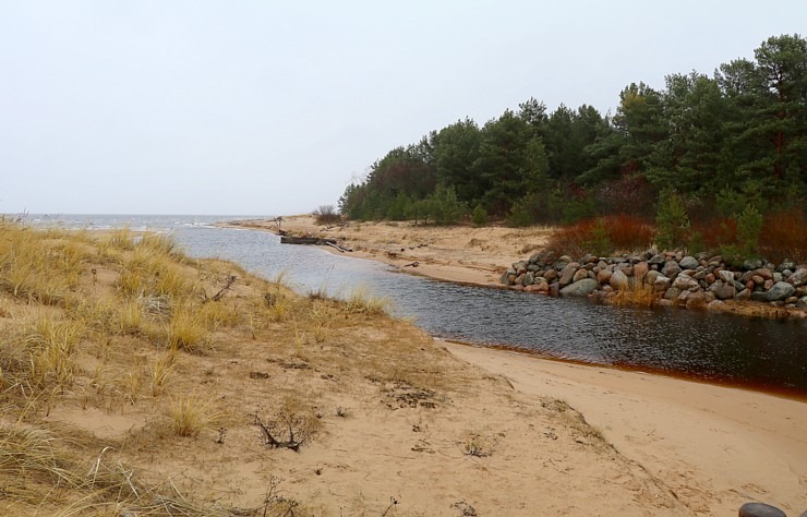 Travelnews.lv iziet 24 km pārgājienu Piejūras dabas parkā gar Gauju, Garezeru, Lilasti un Dzirnezeru Travelnews.lv iziet 24 km pārgājienu Piejūras dabas parkā gar Gauju, Garezeru, Lilasti un Dzirnezeru 333078