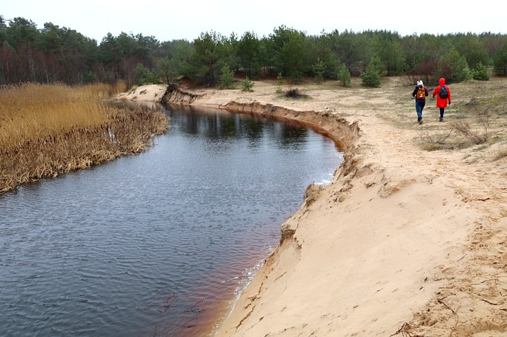 Travelnews.lv iziet 24 km pārgājienu Piejūras dabas parkā gar Gauju, Garezeru, Lilasti un Dzirnezeru Travelnews.lv iziet 24 km pārgājienu Piejūras dabas parkā gar Gauju, Garezeru, Lilasti un Dzirnezeru 333081