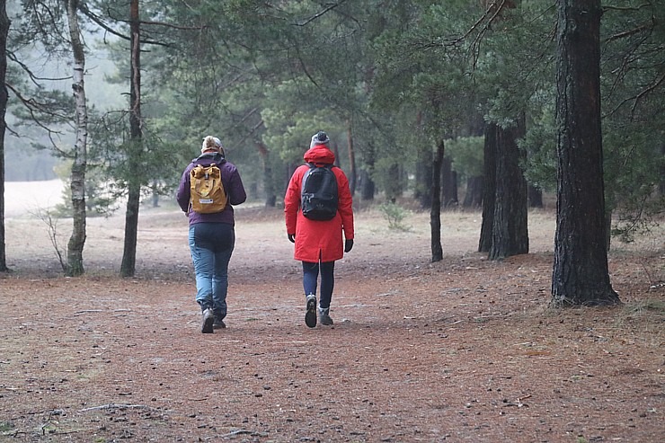 Travelnews.lv iziet 24 km pārgājienu Piejūras dabas parkā gar Gauju, Garezeru, Lilasti un Dzirnezeru Travelnews.lv iziet 24 km pārgājienu Piejūras dabas parkā gar Gauju, Garezeru, Lilasti un Dzirnezeru 333046
