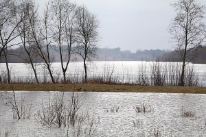 Daugava Latgalē ar palu ūdeņiem appludina Krāslavu, Daugavpili, Līvānus un... 21