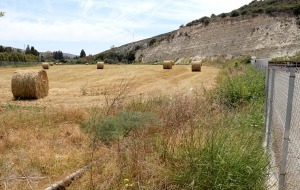 Travelnews.lv apmeklē ēzeļu fermu «Agroktima Agios Georgios» Kiprā 14