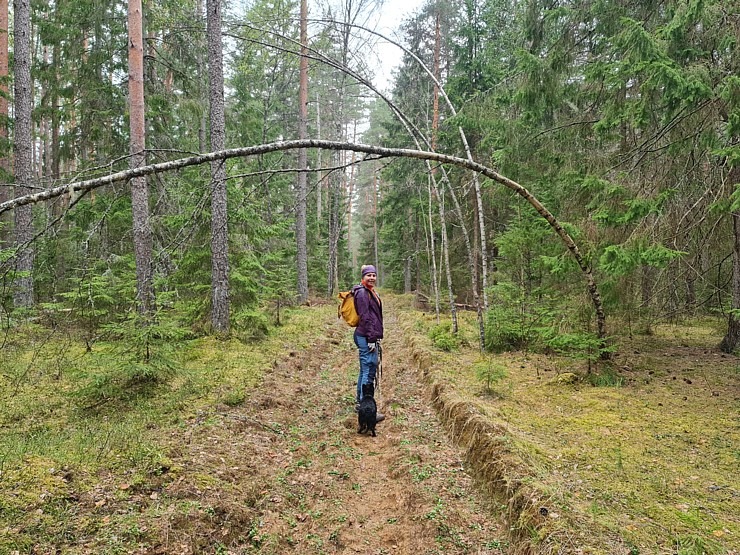 Travelnews.lv ar Latgales krančiem dodas Vecslabadas 33 km pārgājienā Ludzas novadā 335781