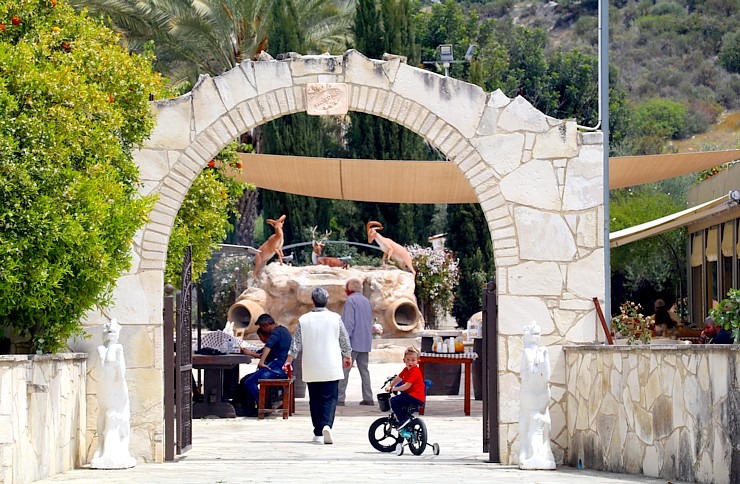 Larnaka apkaimē zemnieki aicina ģimenes ar bērniem ciemos, lai atpūstos, skatītu un baudītu 335847