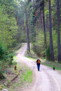 Travelnews.lv par godu 4.maijam un Krāslavas 100. gadu jubilejai noiet 20 km pārgājienu 13