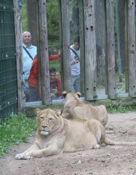Travelnews.lv redakcija vakarpusē apmeklē Rīgas Nacionālo zooloģisko dārzu 4