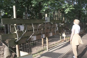 Travelnews.lv iesaka apmeklēt Rīgas Nacionālo zooloģisko dārzu izziņai un pastaigai 17