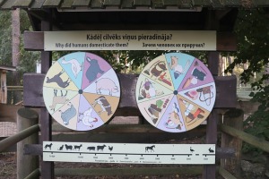 Travelnews.lv iesaka apmeklēt Rīgas Nacionālo zooloģisko dārzu izziņai un pastaigai 27