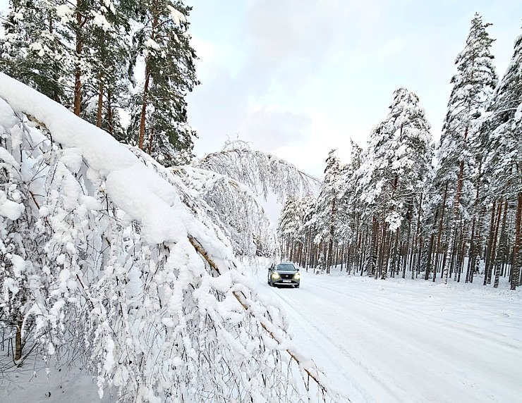 Jānis Deinats, Inta Ruka, Reinis Hofmanis un Travelnews.lv ar Gada Auto 2024 «Nissan X-Trail» dodas uz Ventspili Jānis Deinats, Inta Ruka, Reinis Hofmanis un Travelnews.lv ar Gada Auto 2024 «Nissan X-Trail» dodas uz Ventspili 348292