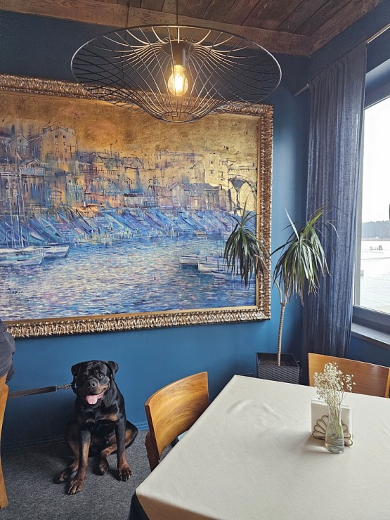 Travelnews.lv pēc 20 km pārgājiena dodas ieturēt maltīti Ozolnieku restorānā «Masti Grill&Chill» 351132