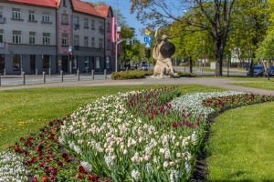 Latvijas kūrortpilsētā Jūrmalā krāšņi zied gandrīz 80 tūkstoši puķu stādu. Foto: Artis Veigurs 10