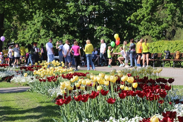 Latvijas galvaspilsētu pārņem skriešanas svētki 353973