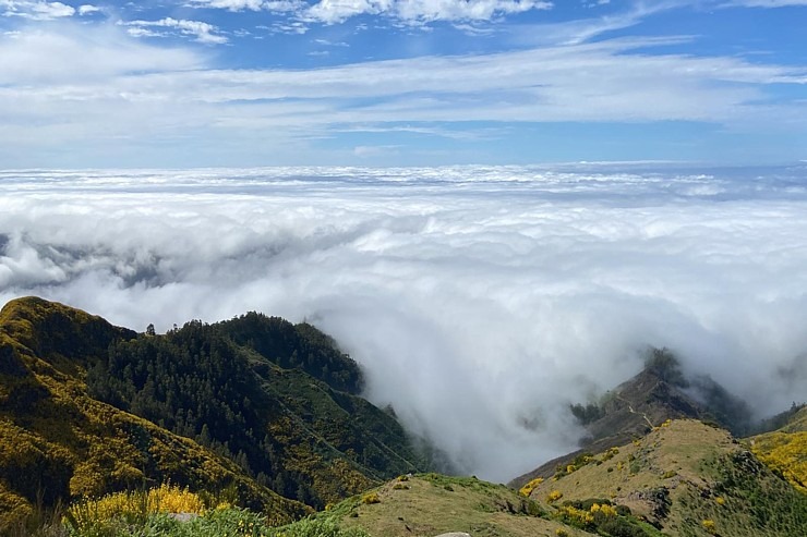 Baltijas ceļojumu konsultanti iepazīst Portugāles salu - Madeira sadarbībā ar «Madeira Selection Hotels». Foto: Agnese Zāle 355110