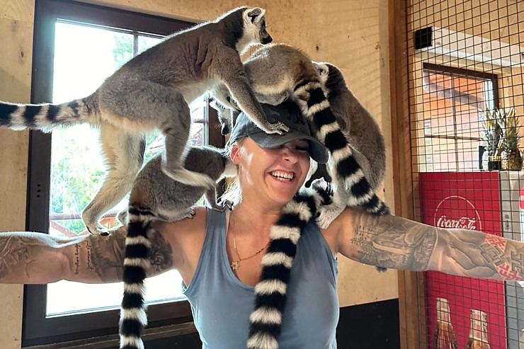 «Rakšu» brīvdabas ZOO tagad piedāvā lemurus un ķen