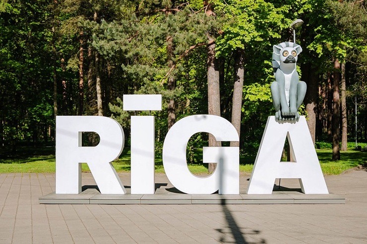 Kaķis, suns, kapibara un lemurs - ar kuriem «Straumes» varoņiem jau paguvāt sabildēties? 371621