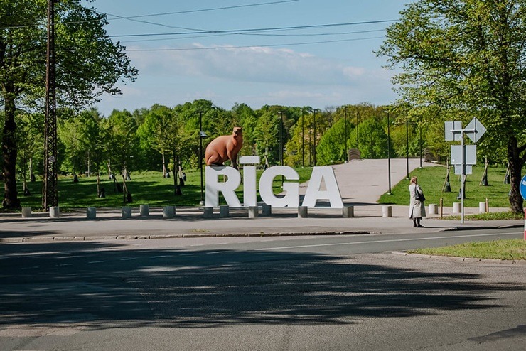 Kaķis, suns, kapibara un lemurs - ar kuriem «Straumes» varoņiem jau paguvāt sabildēties? 371628