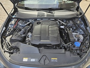 44