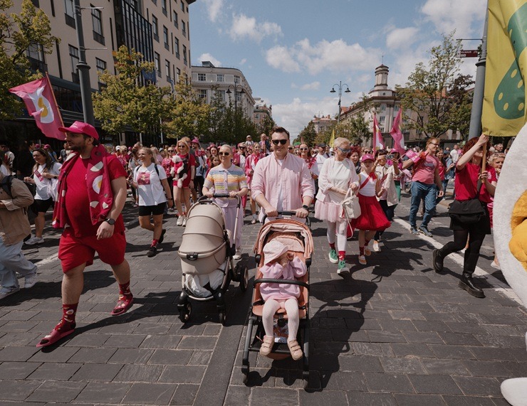 Viļņā ar pamatīgu festivālu godina Rozā jeb auksto zupu 371898