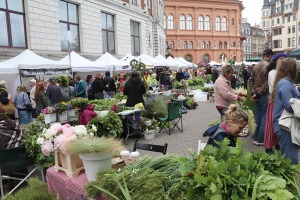 Rīgas Doma laukumā norisinās ikgadējais Zāļu tirgus 21
