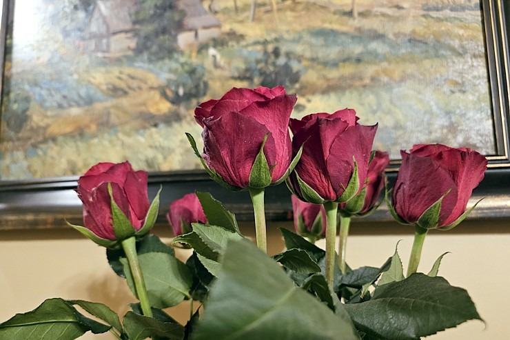 Latvijas Piļu un muižu asociācija svin 25 gadu jub