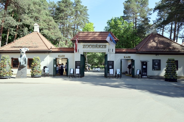Rīga ZOO uzsāk «Himalaju» ekspozīcijas būvniecību, netraucējot apmeklētāju plūsmai un dzīvniekiem 393285