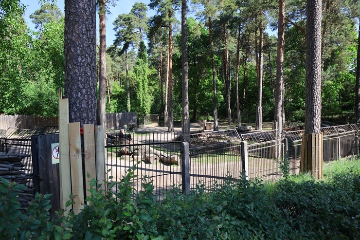 Rīga ZOO uzsāk «Himalaju» ekspozīcijas būvniecību, netraucējot apmeklētāju plūsmai un dzīvniekiem 393306