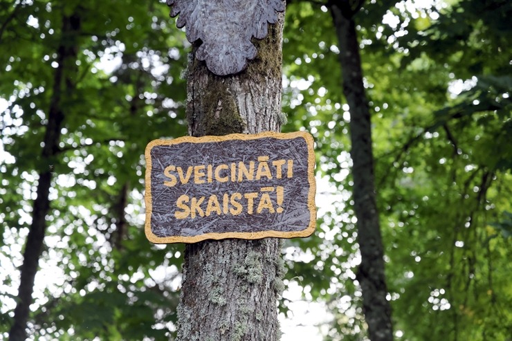 Daži foto mirkļi no Skaistas pagasta svētkiem 2026
