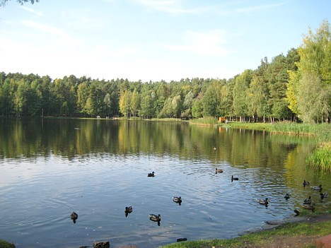 Dambjapurva ezers, kura platība ir 1,7 ha un maksimālais dziļums 3 metri, ir vieta mierīgai pastaigai un atpūtai pie ūdens Dambjapurva ezers, kura platība ir 1,7 ha un maksimālais dziļums 3 metri, ir vieta mierīgai pastaigai un atpūtai pie ūdens 18830