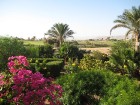 Šis kūrorts Ēģiptē skaitās pats ekoloģiski tīrākais un videi draudzīgākais 15