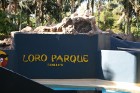Loro parks tiek dēvēts arī par papagaiļu parku, jo tajā dzīvo vairāk nekā 340 šo raibo putnu sugu, kopumā – vairāk nekā 3500 papagaiļu 2
