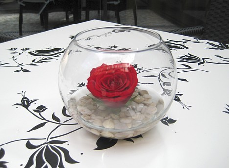 Sīkāka informācija: www.revalhotels.com 22072