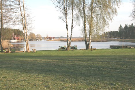 Sakopta vide un pavasara saule 22109