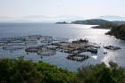 Zivju audzētava atklātā jūrā. Sīkāka informācija par ceļojumu iespējām uz Korfu: www.teztour.lv 20