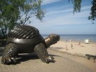 Lai piedalītos Dižajā Baltijas apceļošanas akcijā ir jābildējas pie bruņurupuča skulptūras, kas atrodas pie Majoru jūras paviljona. Sīkāka informācija 20