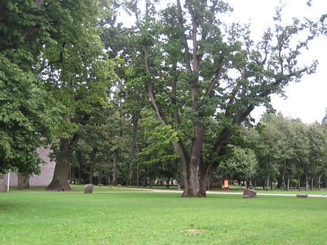 Muzeja parks ar veciem kokiem un brīvdabas ekspozīciju. Muzeja parks ir ne tikai vietējo iedzīvotāju iemīļota vieta, bet arī iecienīta tūristu apskate 27365