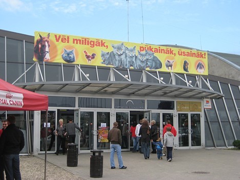 2008.daa 20. un 21. septembrī Starptautiskajā izstāžu centrā Ķīpsalā notika lielākais pasākums dzīvnieku mīļotājiem – starptautiskā mājdzīvnieku un zo 2008.daa 20. un 21. septembrī Starptautiskajā izstāžu centrā Ķīpsalā notika lielākais pasākums dzīvnieku mīļotājiem – starptautiskā mājdzīvnieku un zo 27692