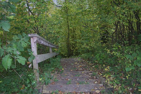 Koka kāpnes, kas aizved līdz Ventas upei 28219