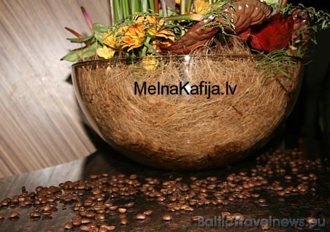 Sīkāka informācija par kafijas ražošanas uzņēmumu Melnā kafija un sertifikāciju - www.melnakafija.lv Sīkāka informācija par kafijas ražošanas uzņēmumu Melnā kafija un sertifikāciju - www.melnakafija.lv 28535