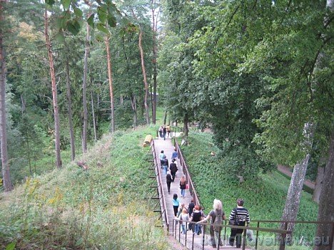 Reģionālais dabas parks ir izveidots gar Nemūnas upi ar mērķi saglabāt dabisko ainavu 28730