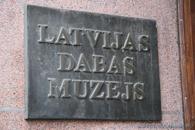 No 21.janvāra līdz 1.februārim Latvijas Dabas muzejā apskatāma starptautiska foto izstāde “Mūsu planētas daudzveidība”, ko piedāvā žurnāls GEO No 21.janvāra līdz 1.februārim Latvijas Dabas muzejā apskatāma starptautiska foto izstāde “Mūsu planētas daudzveidība”, ko piedāvā žurnāls GEO 30140