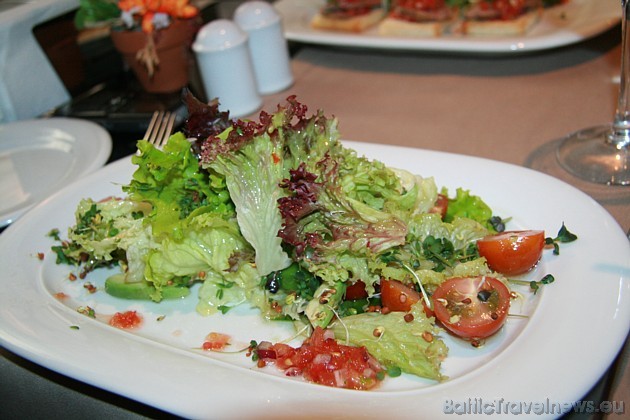 Vasaras ēdienkarte: Sezonas lapu salātu izlase ar avokado un tomātiem, medus-citrusa augu mērcē 35038