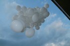Baloni dodas gaisa ceļojumā ar vēstījumu. Varbūt kādam ir izdevies to atrast? 12